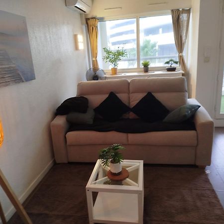 Port Studio Piscine, Parking, Prive,Navette Aeroport 阿格德 外观 照片