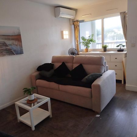 Port Studio Piscine, Parking, Prive,Navette Aeroport 阿格德 外观 照片