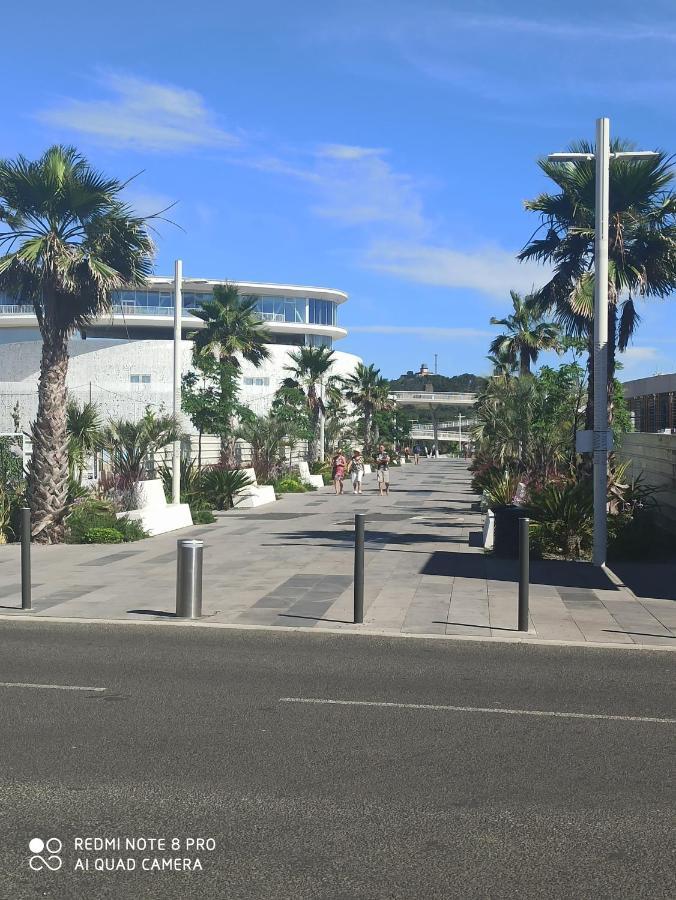 Port Studio Piscine, Parking, Prive,Navette Aeroport 阿格德 外观 照片